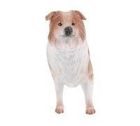 Milisten Figurine de Chien Border Collie Plastique Ornement Éducatif et Décoratif pour Maison École Terrarium et Projets Créatifs Réaliste