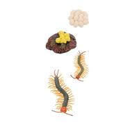 Milisten Figurine Mille- Éducative pour Garçon et Filles Modèle d'Évolution Naturelle Jouet Interactif 10 CM Cycle de Vie Activités Éducatives Scientifique
