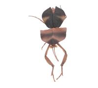 Milisten Figurine Réaliste de Mante Religieuse en PVC pour Décoration Maison et Apprentissage Scientifique, Modèle D'insecte Détaillé, Expérience Vivante pour Garçon et Filles