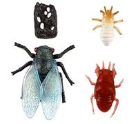 Milisten Figurines d'animaux du Cycle De Vie pour Garçon Et Filles, 4 Modèles De Cigales, Simulation Réaliste, Surface Lisse Sécurisée, Activité Éducative Préscolaire, Coffret Pédagogique 4 Pièces