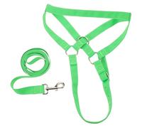 Milisten Licols en nylon pour bovins - Licol réglable pour veaux avec longe pour chevaux miniatures, ânes, chèvres et poulains - Accessoires de dressage