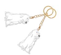 Milisten Lot De 2 Porte-Clés en Abs Transparent pour Poils d'animaux