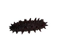 Milisten Modèle Artificiel de Concombre de Mer Réaliste en PVC Surface Lisse pour Décoration de Pâtisserie et Accessoires de Photographie