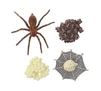 Milisten Modèle de d'Araignée Éducatif pour Garçon et Filles Ensemble de Modèles d'Arthropodes Jouet d'Éveil Scientifique Cycle de Vie d'Araignée Activité Éducative à