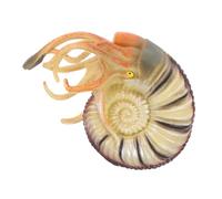 Milisten Modèle Nautilus Réaliste Éducatif Décoratif pour Garçon Fille Figurine Artificielle Résistante et Portable