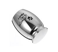 Milisten Urne pour Animaux Acier Inoxydable Argenté Cendrier Portable et pour Cendres de Chiot Cercueil Crémation Compact et Durable Coffret Souvenir pour Animaux de Compagnie