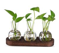 Milisten Vase Créatif Verre Transparent pour Bureau Jardinière de Propagation pour Salon Centre de Table Verre Vase de Table pour Fleurs Station de Propagation