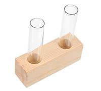 Milisten Vase Hydroponique Transparent de Bureau pour Plantes Vertes Accessoire Décoratif Intérieur Petit Flacon Rectangulaire Double Tube Vase pour Propagation et Décoration Maison