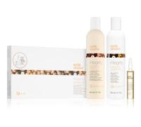 milk_shake Integrity Set with Conditioner ensemble pour cheveux abîmés et fragiles