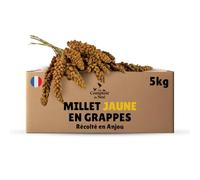 Millet en grappes Jaune 5 kg, Alimentation pour Oiseaux, Récolté en France en Anjou, 100% Naturel, Millet Français pour Développer la Vitalité, Graines pour Oiseaux Domestiques