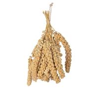 Millet pour oiseaux 400 gr