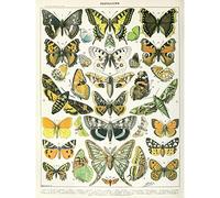 Millot Encyclopedia Page Butterflies Moths Unframed Wall Art Print Poster Home Decor Premium Mur Affiche Accueil Déco