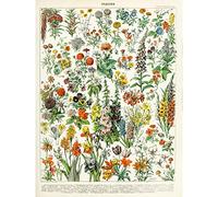 Millot Encyclopedia Page Flowers Plants Unframed Wall Art Print Poster Home Decor Premium Fleurs Plante Mur Affiche Accueil Déco
