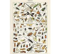 Millot Encyclopedia Page Insects Dragonfly Unframed Wall Art Print Poster Home Decor Premium Mur Affiche Accueil Déco
