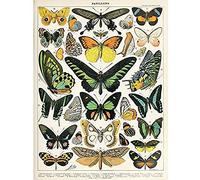 Millot Encyclopedia Page Moths Butterflies Unframed Wall Art Print Poster Home Decor Premium Mur Affiche Accueil Déco