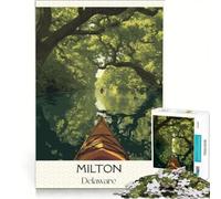 Milton Delaware Puzzle 1000 pièces | Décoration intérieure - Jouets de décoration intérieure avec pièces de formes aléatoires entièrement emboîtables 75x50cm