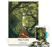 Milton Delaware Puzzle 1000 pièces | Jeu familial stimulant à compléter avec des pièces de formes aléatoires s'emboîtant parfaitement 52x38cm