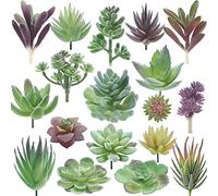 miltonson Lot de 18 Plantes succulentes artificielles - Plantes artificielles de qualité supérieure - Double Flocage - Cactus texturé réaliste - Plantes succulentes pour Visage - Mini Plantes