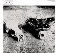 MIMICKING BIRDS - Eons