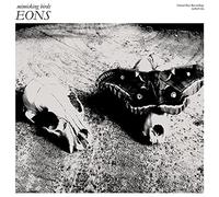 MIMICKING BIRDS – Eons
