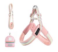 Mimoqk Harnais Et Lanière pour Chien - Harnais De Sécurité Ajustable pour Chien avec Veste | Sac De Rangement Inclus Accessoire Anti-Rotation pour Marche en Ville Plage Randonnée Parc Jardin