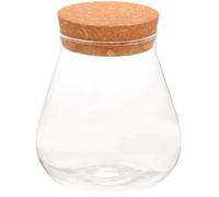MINAOLULUS Bouteille en Verre Décorative pour Micro-Paysage Bouchon en Liège, Surface Lisse et Design Créatif, pour Décoration Maison et Plantes DIY