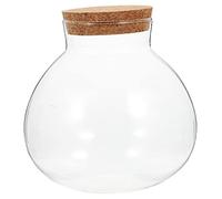MINAOLULUS Bouteille Verre Terrarium pour Plantes Contenant Transparent avec Design Sphérique Élégant