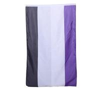 MINAOLULUS Drapeau Fierté sans Genre Arc-en-ciel 90 X 150 Cm en Polyester Résistant aux UV pour Décoration Extérieure de Parade et Marche des Fiertés, Bannière Colorée Solide Œillets