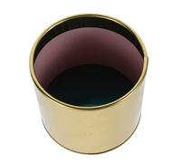 MINAOLULUS Pot de Fleurs Décoratif Créatif en Fer Doré 10,5 X 10,5 Cm pour Plantes D’intérieur, Jardinière pour Fleurs Séchées et Succulentes, Seau en Fer Élégant pour Bureau et Balcon