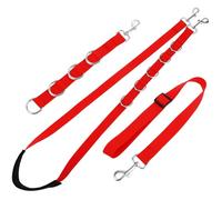 MINAOLULUS Set de Toilettage pour Chien Sangle Rouge en Fibre de Polypropylène, Boucles Multiples pour Fixation Rapide, pour Usage Professionnel et Table de Toilettage