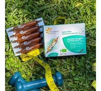 Fleurance Nature Mincifine® bruleur de graisses bio 10 ampoules