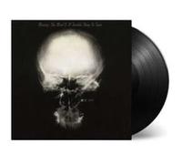 Mind Is a Terrible Thing to Taste – Vinyle noir audiophile 180gr – Music on Vinyl