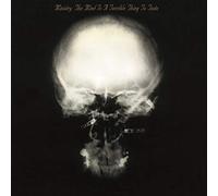 Mind Is a Terrible Thing to Taste/Vinyle Noir Audiophile 180gr