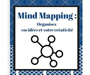 Mind Mapping Organisez vos idées et votre créativité: Brainstorming journal : aller à l'essentiel, organiser, innover et créer plus de valeur