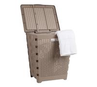 Mind Reader Panier à linge pliable de 61 L, panier à vêtements, couvercle, design en osier, plastique, 45,7 x 36,8 x 54,2 cm (L x l x H), brun clair