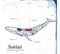 Minds Eye - Escape Plan