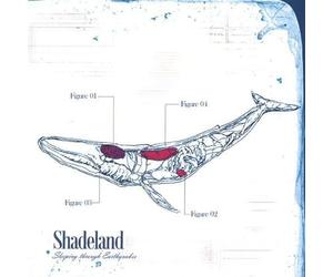 Minds Eye - Escape Plan