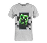 Minecraft Creeper Inside Boy's T-Shirt (3-4 Years)