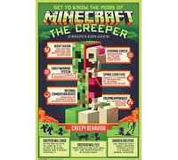 Minecraft Creepy Behaviour Poster de jeu vidéo PC 61 x 91,5 cm + 1 poster de 61 x 91,5 cm