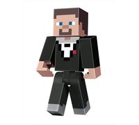 Minecraft Donjons Grand 27.9cm Articulé Action Figurine Bicolore Steve