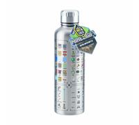 Minecraft Gourde En Métal - Bouteille D'Eau En Métal PALADONE PRODUCTS