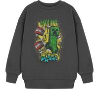 Minecraft - "Having A Blast" Sweat-shirt pour garçon NS8948 (128) (Gris)