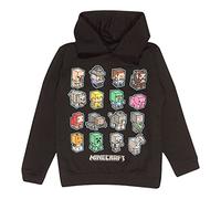 Minecraft Mini Mobs Boys Pull Sweat Hoode Black 8-9 Ans