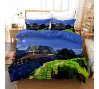 Minecraft:Story Mode Parure De Lit Pi¿¿Ces Avec Housse De Couette Et Taie D'oreiller, Microfibre, Impression Num¿¿Rique D (, Pour Lit King Size,