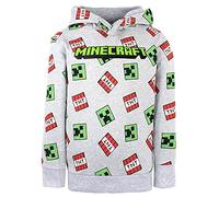 Minecraft - Sweat à Capuche à Motifs pour Garçons - Gris 100% Coton - Creeper - Cadeaux (9-10 Ans)