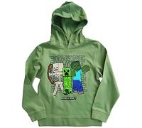 Minecraft Sweat à capuche pour enfant Taille 164 pour 12 13 14 15 16 ans, vert, 14 ans