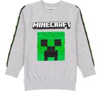 Minecraft - Sweat-shirt pour enfants NS6499 (140) (Gris)