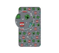 Minecraft We Got This Drap Lit Simple Gris Pixel Figures Coton Enfants