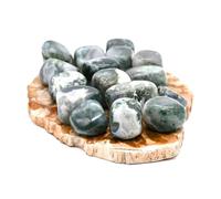 Mineral Est | Pierre roulée Agate mousse qualité A | Taille : 2,5 cm | Renouveau, sérénité & connexion à la nature | Vendue à l'unité | Lithothérapie et chakras