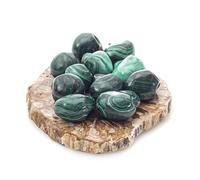 Mineral Est | Pierre roulée Malachite qualité Extra | Taille : 2,5 cm | Amplifie les énergies positives | Vendue à l'unité | Lithothérapie et chakras